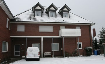 Meeuw met zwarte rug 2