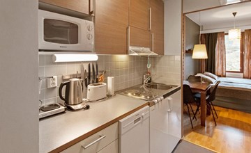 Ylläs chalets 3309, winter 2023-24 2 ski's 2