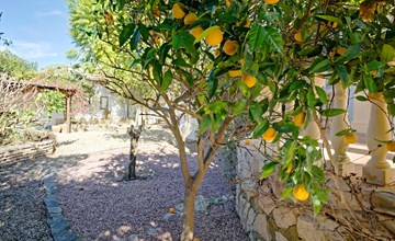 El Rinco de la Felicidad 2