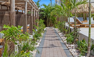The Boho Oasis Resort (with private terrace) 3
