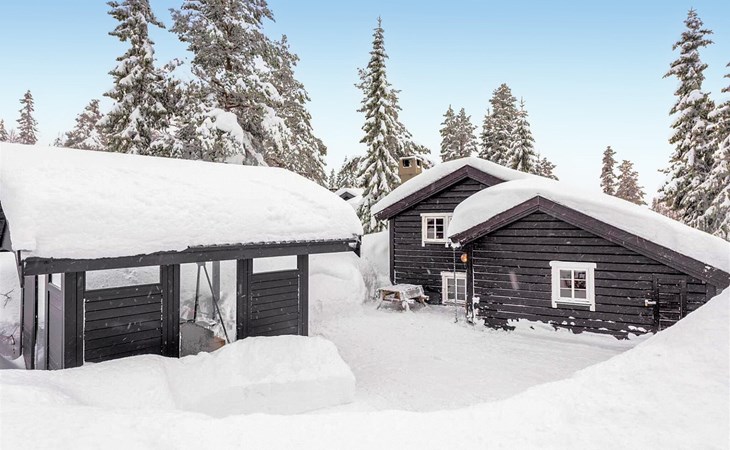 Amazing home in Trysil with house a mountain view 1