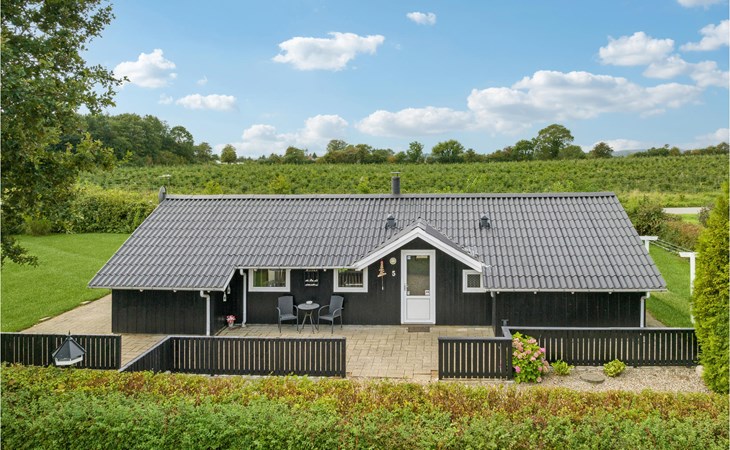 Nice home in Hejls with sauna 1