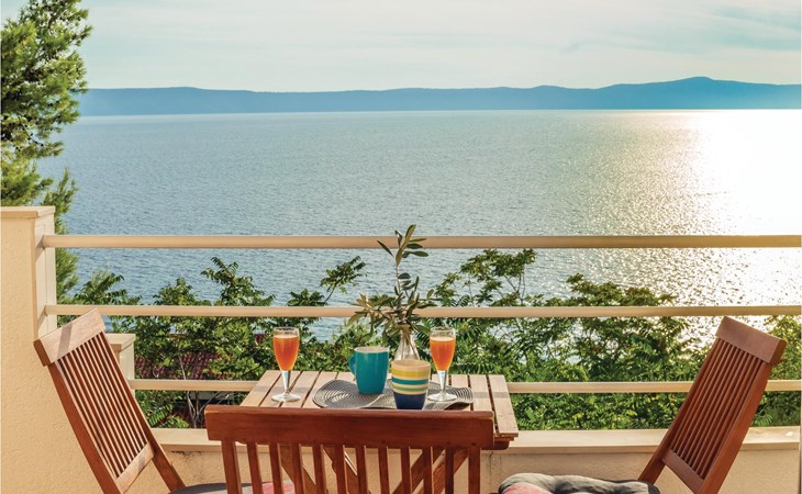 Pet friendly apartment in Zivogosce 1