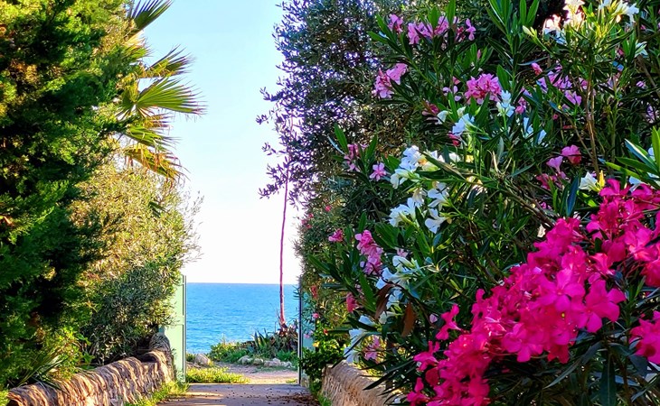 Kleines ruhiges Ferienhaus direkt am Meer 1