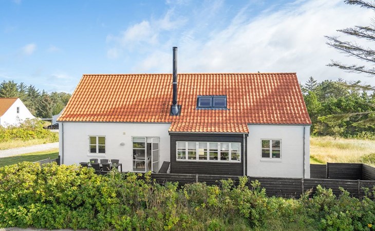 "Henke" - 500m from the sea in NW Jutland 1