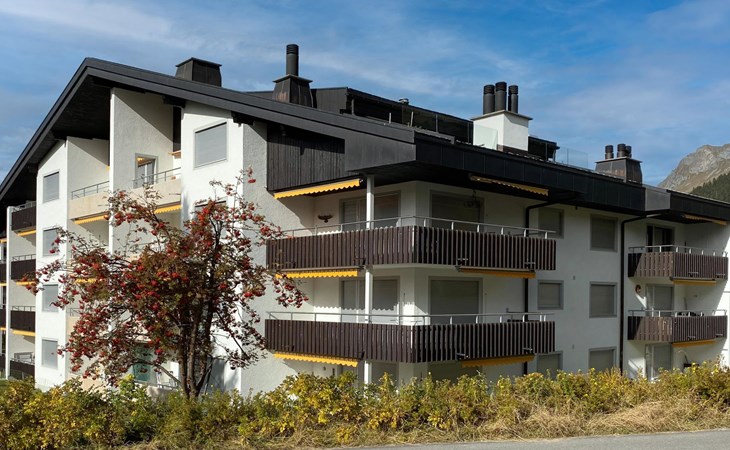 Driehoek D Paijmans 1