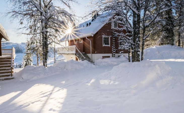 Alppikylä 1b semi-detached house 1