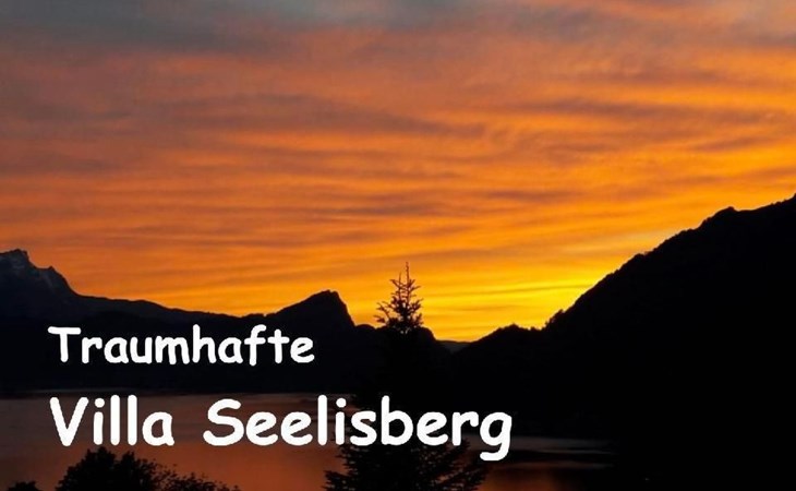 Villa Seelisberg mit Jacuzzi und Panoramablick 1