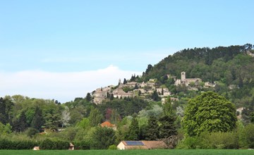 Marguerie (LBM110) 3