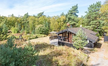 „Bernarda“ – 400 m vom Meer entfernt in Nordostjütland 3