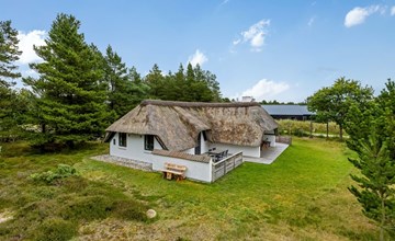 „Lilo“ – 1 km vom Meer entfernt in Westjütland 3