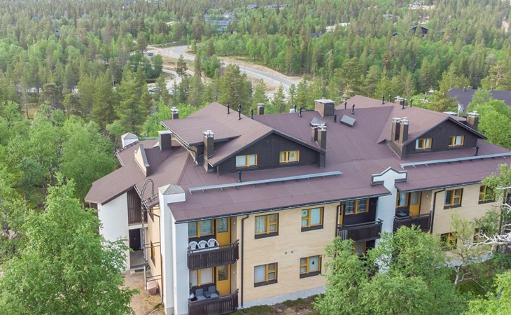 Feiertagshuhn 6 a 4 kleines Auerhuhn 1