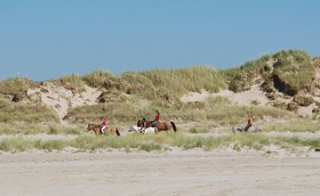„Lotte“ – 2,3 km vom Meer entfernt in Westjütland 2