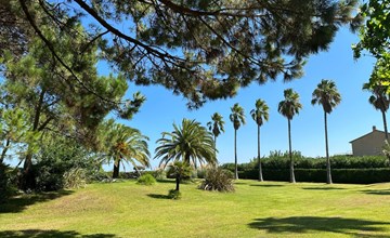 Les Chênes (MAA200) 2