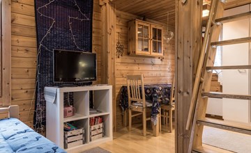 Downy owl (apartment 902) 3