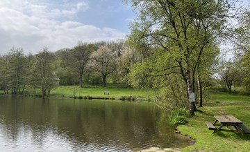 Am Sternberg 224/226 3