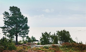 Stunning home in Hammarö with jacuzzi 2