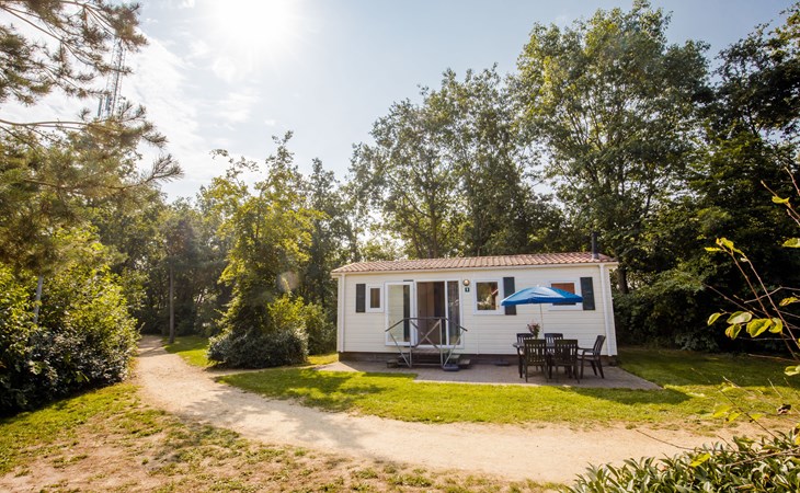 Chalet | Huisdier welkom 1