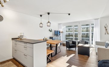 No.06 House Sursilvana 3