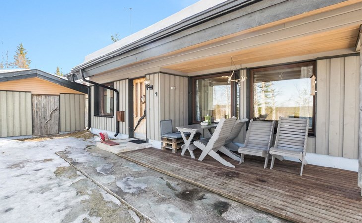 Mustalimpi 5 Nachtigall 1