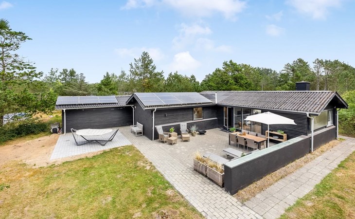 "Barba" - 2km from the sea in NW Jutland 1