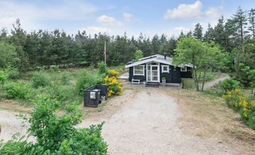 "Florense" - 2.5km from the sea in Western Jutland 2