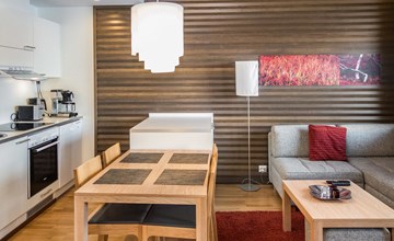 Nordic chalet 9209 3