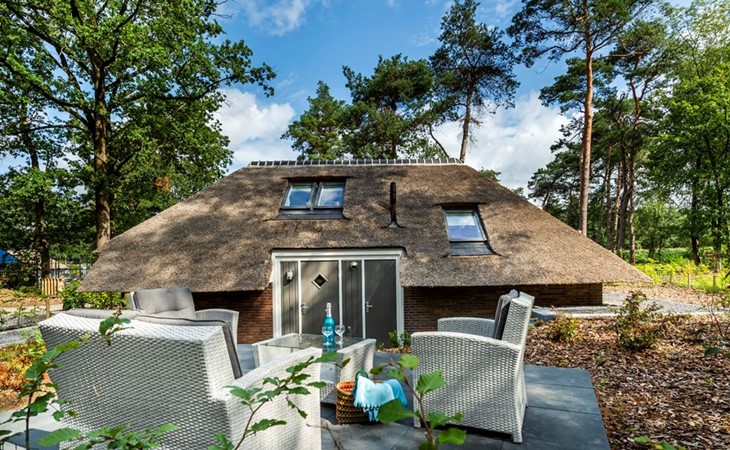 Sprielderbosch 21 luxe vakantievilla in bosrijke omgeving bij Putten 1