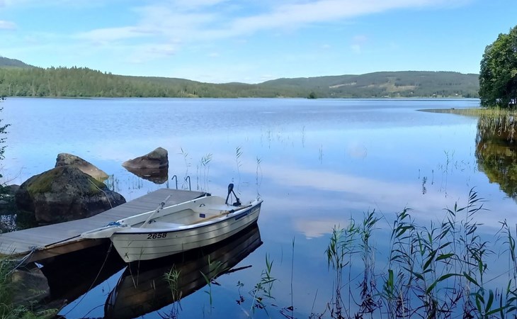 in Hagfors mit Großem Garten 1