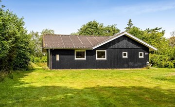 „Schwan“ – 400 m vom Meer entfernt in Westjütland 3