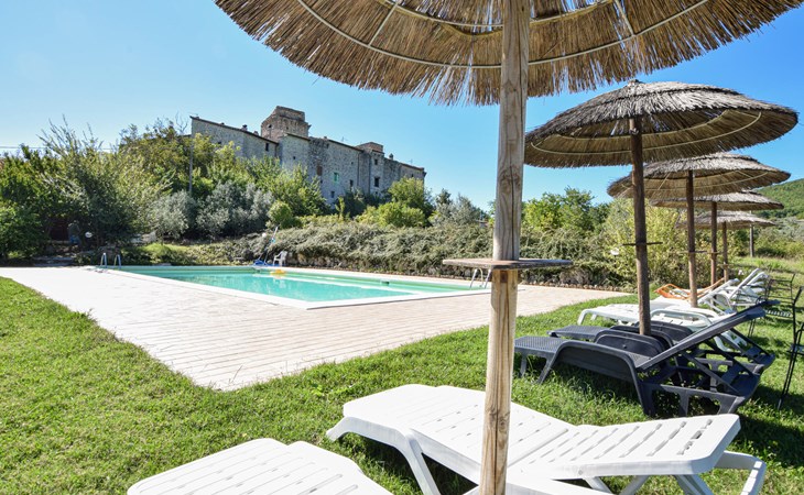 Pet friendly apartment 1