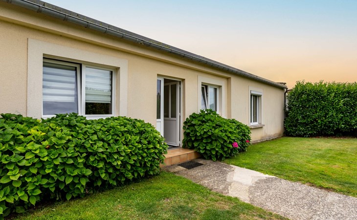 The Saint Vigor (BAX400) 1