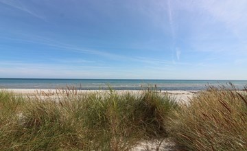 "Auvo" - 200m from the sea 3