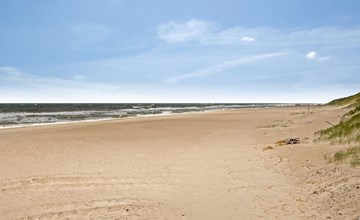 "Felicita" -  from the sea 2