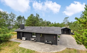 "Barba" - 2km from the sea in NW Jutland 3