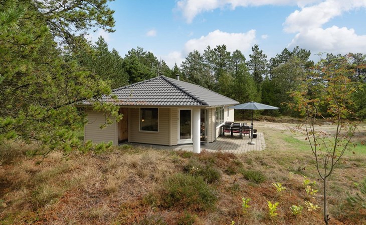 "Micke" - 3.2km from the sea in Western Jutland 1