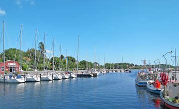 Wohnung in Goosefeld mit Grill 3