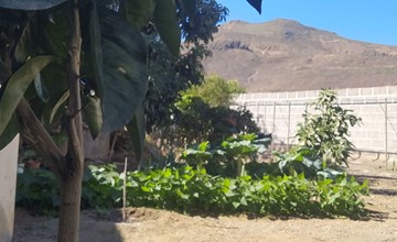 Edara Home - Haus mit privatem Garten 3