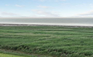 „Stilla“ – 35 km vom Meer entfernt in Westjütland 2