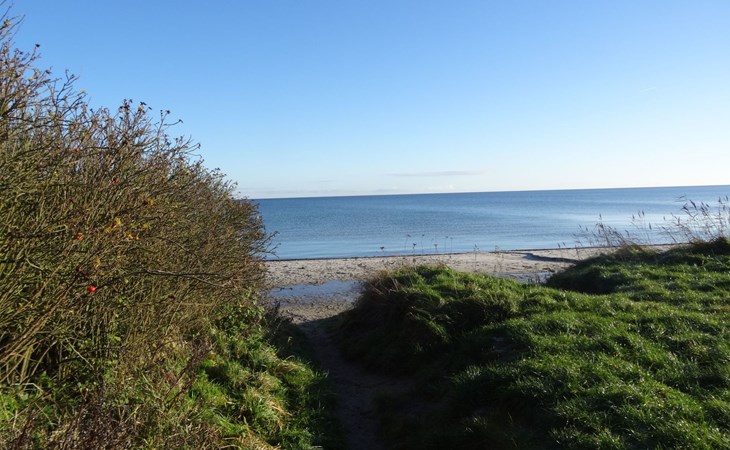 Urlaub am Meer im Ferienhaus mit Sauna 1