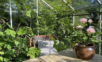 "Elvin" - 2,7 km van de zee in Funen 3