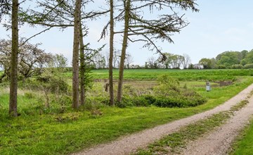 „Venla“ – alles inklusive – 150 m vom Meer entfernt in Südostjütland 3