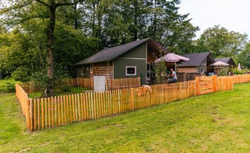 Dog Lodge 6 2