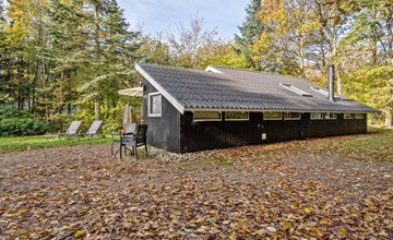 "Elisabeta" - 28 km van de zee in West-Jutland 3