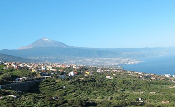 "Cañaveral Medano". 2