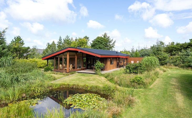 "Sune" - 500m from the sea in Western Jutland 1