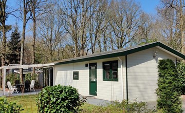 Boterbloem Chalet | 4 personen 3