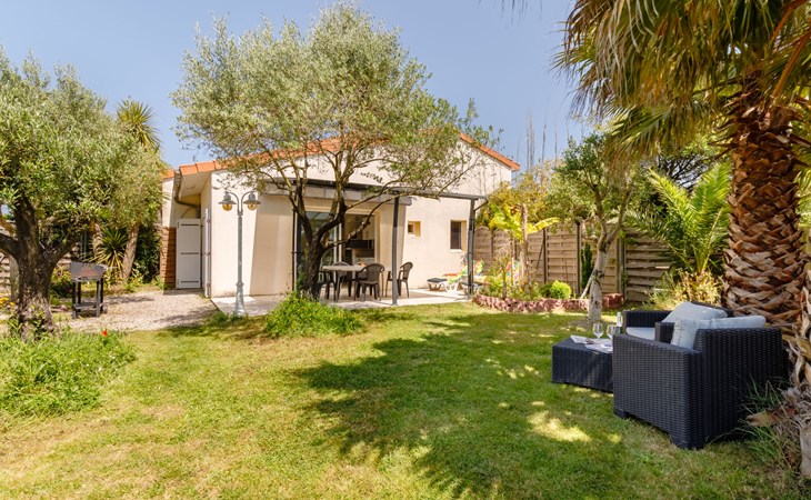 Die Olivenbäume (TSH111) 1