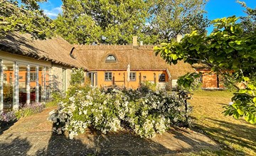Pet friendly home in Borrby with sauna 2
