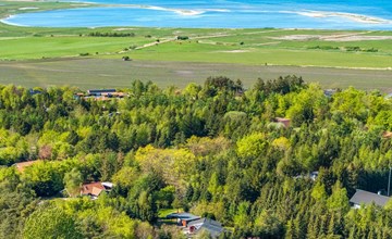 "Atti" - 500m to the fjord 3